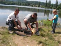 foto/diskuze/z_lovu/2010/th-img36829.jpg
