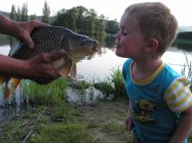 foto/diskuze/z_lovu/2010/th-img36831.jpg