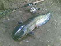 foto/diskuze/z_lovu/2010/th-img36890.jpg