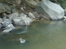 foto/diskuze/z_lovu/2010/th-img36925.jpg