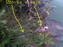 foto/diskuze/z_lovu/2010/th-img36938.jpg