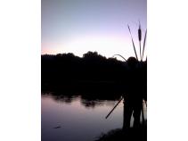 foto/diskuze/z_lovu/2010/th-img37025.jpg