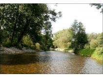 foto/diskuze/z_lovu/2010/th-img37249.jpg