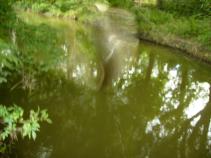 foto/diskuze/z_lovu/2010/th-img37282.jpg