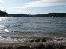 foto/diskuze/z_lovu/2010/th-img37286.jpg
