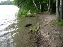 foto/diskuze/z_lovu/2010/th-img37366.jpg