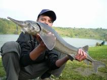 foto/diskuze/z_lovu/2010/th-img37636.jpg