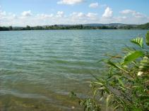 foto/diskuze/z_lovu/2010/th-img37748.jpg