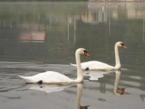 foto/diskuze/z_lovu/2010/th-img37829.jpg