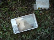foto/diskuze/z_lovu/2010/th-img38206.jpg