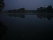 foto/diskuze/z_lovu/2010/th-img38265.jpg