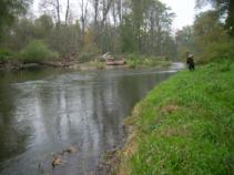 foto/diskuze/z_lovu/2010/th-img38545.jpg