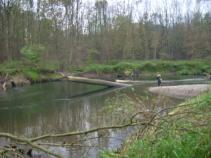 foto/diskuze/z_lovu/2010/th-img38547.jpg
