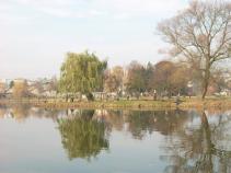 foto/diskuze/z_lovu/2010/th-img38715.jpg