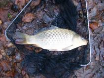 foto/diskuze/z_lovu/2010/th-img39004.jpg