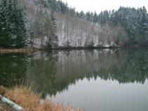 foto/diskuze/z_lovu/2010/th-img39134.jpg