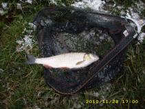 foto/diskuze/z_lovu/2010/th-img39141.jpg