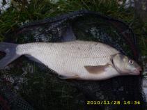 foto/diskuze/z_lovu/2010/th-img39142.jpg