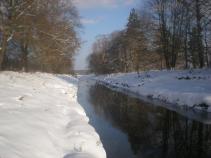 foto/diskuze/z_lovu/2010/th-img39192.jpg