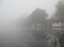 foto/diskuze/z_lovu/2010/th-img39219.jpg
