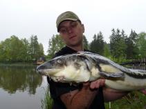 foto/diskuze/z_lovu/2010/th-img39234.jpg