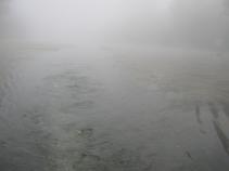 foto/diskuze/z_lovu/2010/th-img39436.jpg