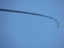 foto/diskuze/z_lovu/2010/th-img39728.jpg