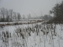 foto/diskuze/z_lovu/2011/th-img40525.jpg