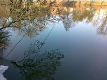 foto/diskuze/z_lovu/2011/th-img40547.jpg