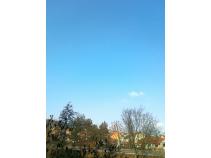foto/diskuze/z_lovu/2011/th-img40548.jpg