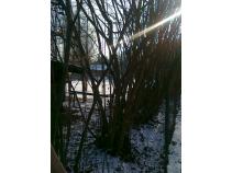 foto/diskuze/z_lovu/2011/th-img40550.jpg