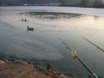 foto/diskuze/z_lovu/2011/th-img41036.jpg