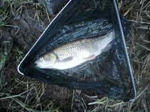 foto/diskuze/z_lovu/2011/th-img41063.jpg