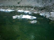 foto/diskuze/z_lovu/2011/th-img41107.jpg