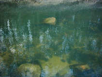 foto/diskuze/z_lovu/2011/th-img41108.jpg