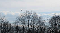 foto/diskuze/z_lovu/2011/th-img41133.jpg