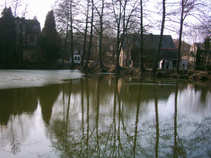 foto/diskuze/z_lovu/2011/th-img41218.jpg