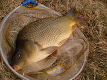 foto/diskuze/z_lovu/2011/th-img41228.jpg