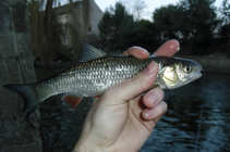 foto/diskuze/z_lovu/2011/th-img41248.jpg