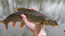 foto/diskuze/z_lovu/2011/th-img41267.jpg