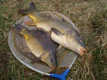 foto/diskuze/z_lovu/2011/th-img41355.jpg