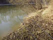 foto/diskuze/z_lovu/2011/th-img41383.jpg