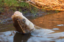 foto/diskuze/z_lovu/2011/th-img41386.jpg