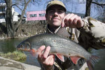 foto/diskuze/z_lovu/2011/th-img41410.jpg