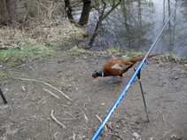 foto/diskuze/z_lovu/2011/th-img41459.jpg