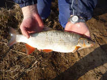 foto/diskuze/z_lovu/2011/th-img41514.jpg