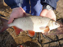 foto/diskuze/z_lovu/2011/th-img41516.jpg