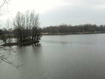 foto/diskuze/z_lovu/2011/th-img41524.jpg