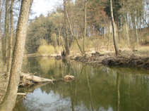 foto/diskuze/z_lovu/2011/th-img41561.jpg