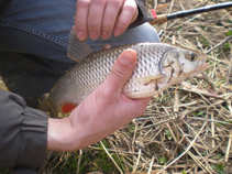 foto/diskuze/z_lovu/2011/th-img41562.jpg